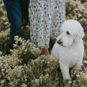 Meet your Posher, Kaitlin